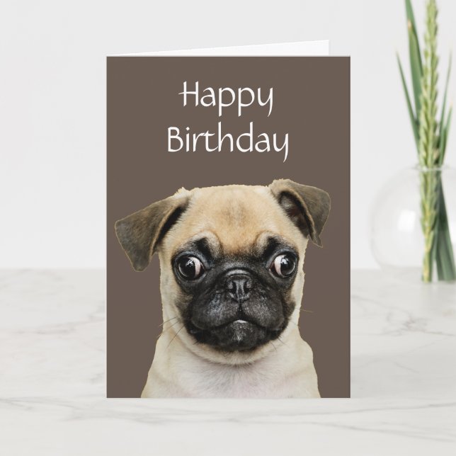 Lusnyj, Birthday Lycklig Pug Dog Humor Kort (Framsida)