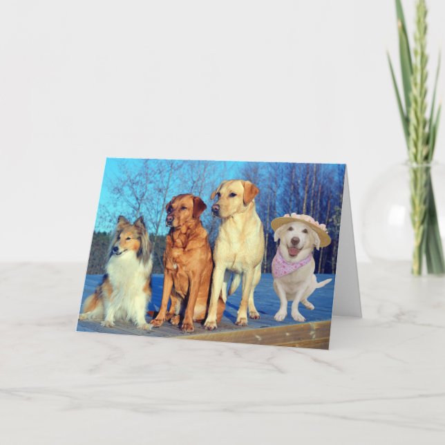 Lusnyj En av Kind Lab Birthday Kort (Framsida)