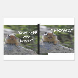 Lusnyj Ground Squirrel Bort från min Gräsmatta Rektangulärt Klistermärke