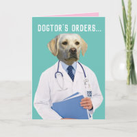 Lusnyj Gul lab Doktor Beders Heal and Get well