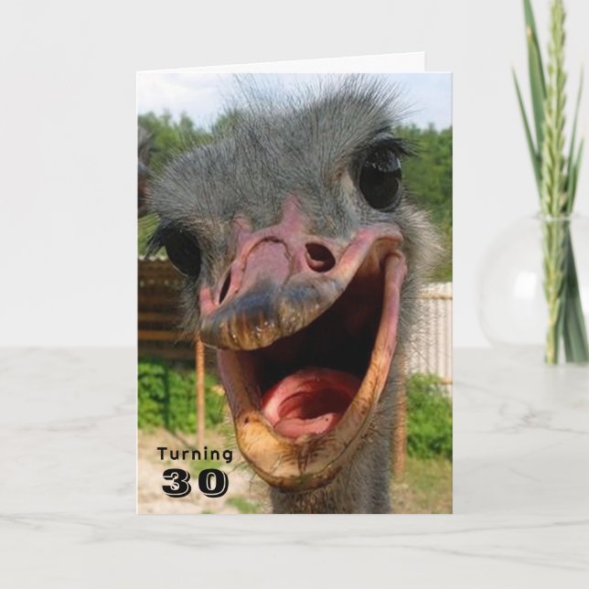 Lusnyj Ostrich Bird Turning 30 Birthday Kort (Framsida)
