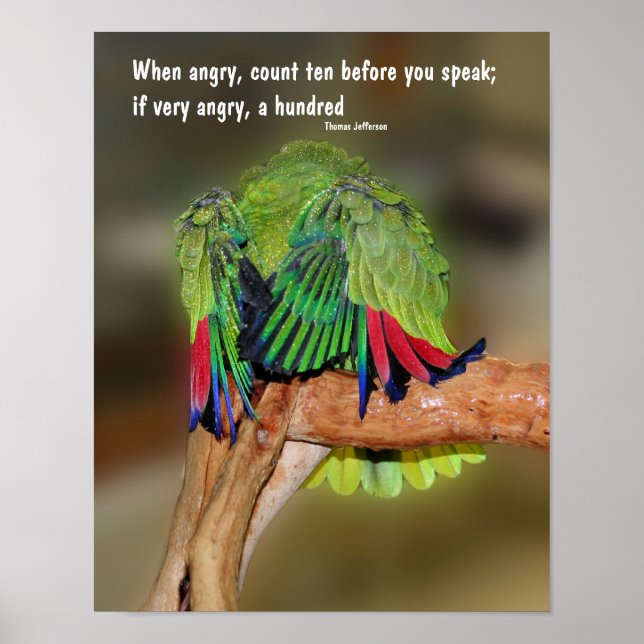 Lusnyj Parrot Ilquote Inspirational Poster (Framsidan)