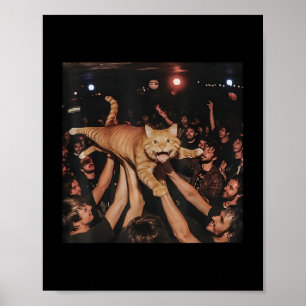 Lusnyj Sten Show Cat Meme Cute Tabb by Kitten Crow Poster