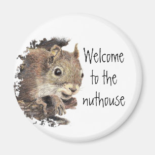 Lusnyj, välkommen till nuthouse, ekorre, Animal Magnet