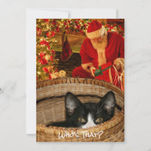 Lusnykatten i en juljul i Basket