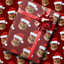 Lustig Anpassningsbar Ansikte Cat Photo Santa Hat