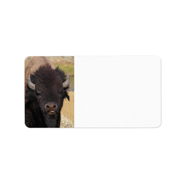 lustig bison adressetikett (Framsidan)