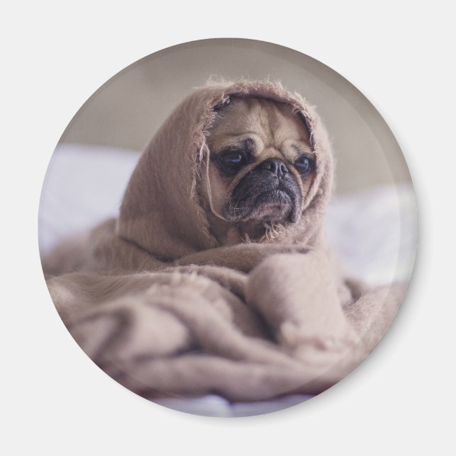 Lustig dogm magnet (Framsidan)