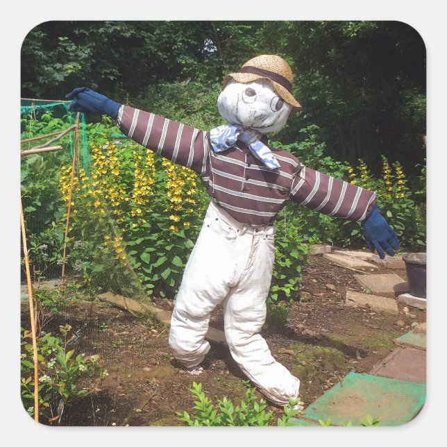 Lustig fågelskrämma fyrkantigt klistermärke (Framsida)