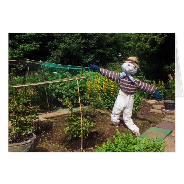 Lustig fågelskrämma hälsningskort (Framsidan Horizontal)