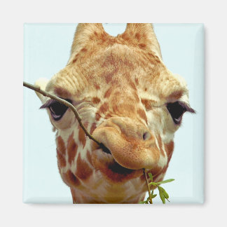 lustig giraffe baby magnet