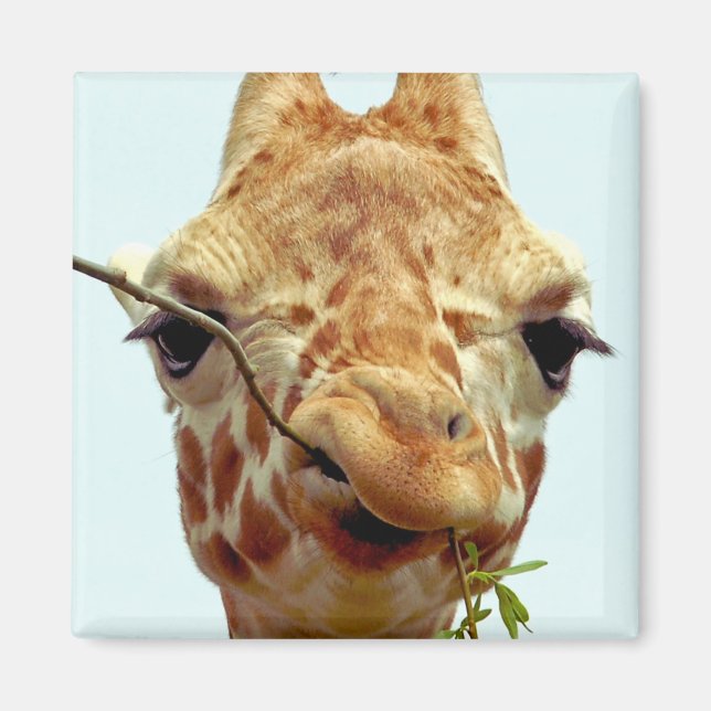 lustig giraffe baby magnet (Framsidan)