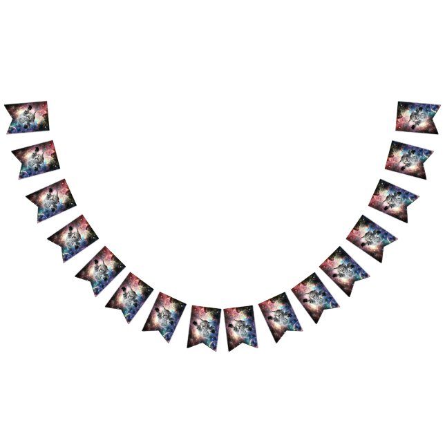 Lustig katt i rymden vimplar (Alla)