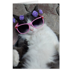 Lustig katt med rosa glas hälsningskort