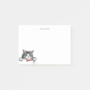 Lustig och söt katt med en röd penna lägger du til post-it block