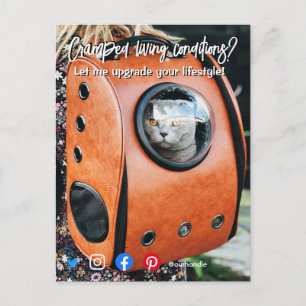 lustig riktig gods-vykort, tråkig levande katt vykort