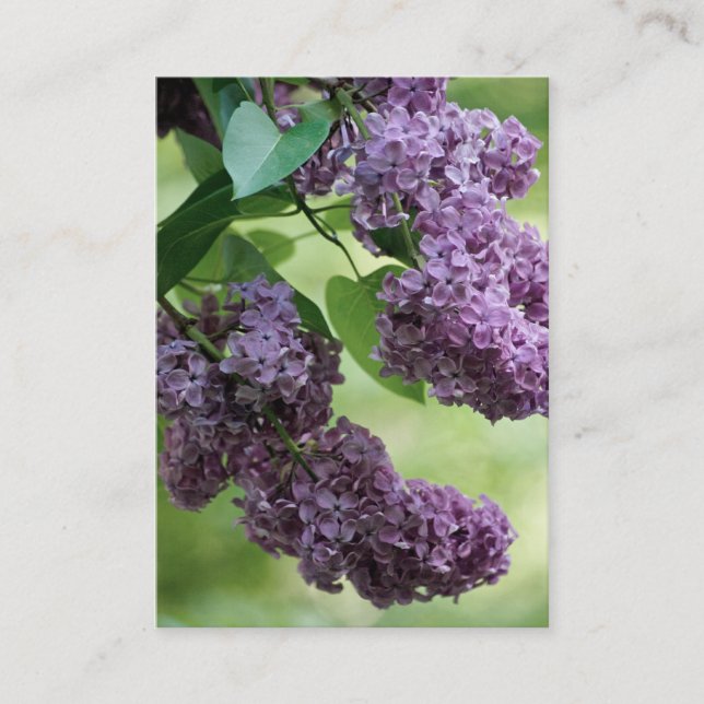 Lustig Vår Mini-utskrift Visitkort (Framsida)