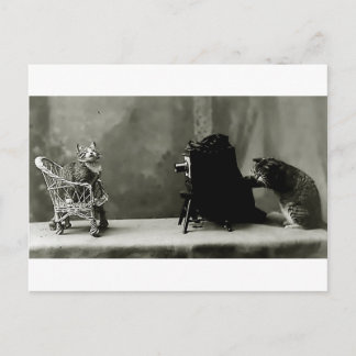 lustig vintage fotokatter roligt kort