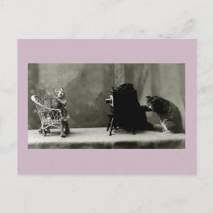 lustig vintage fotokatter roligt kort