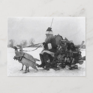 Lustig Vintage Santa Turkey Sleigh Vykort