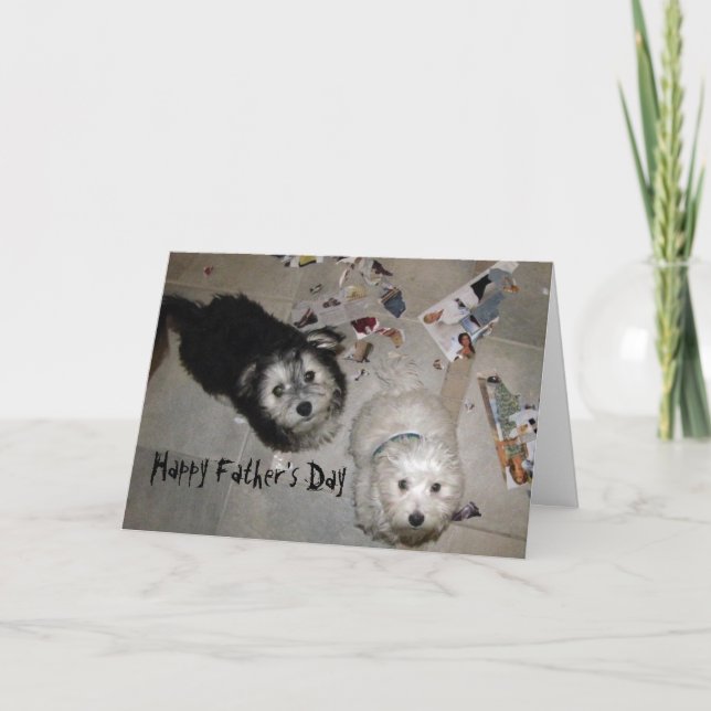 Lustiga Fars dag Havanese Puppies Kort (Framsida)
