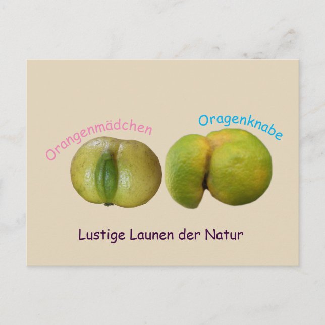 Lustige Orangen Vykort (Framsida)