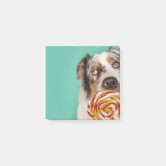 Lustiger Australian Shepherd Hund mit Lolli Post-it Block