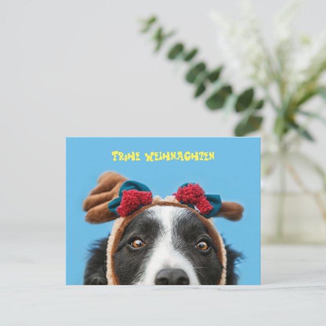 Lustiger Border Collie wünscht frohe Weihnachten Vykort (Stående Fram)