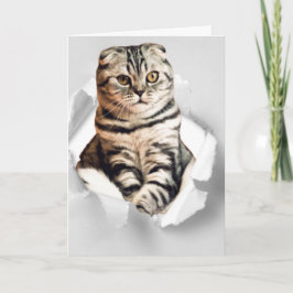 Lustigt 3d-grafik-katter som slits sönder pappra i kort