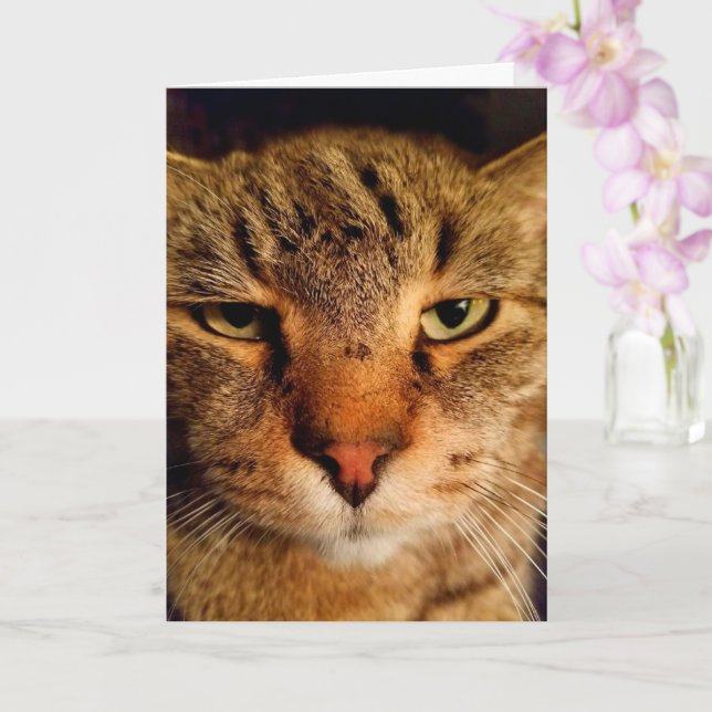 Lustigt äckligt Cat Cancer Encouragement Kort (Orkide)