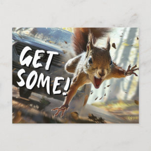 Lustigt Action Squirrel-vykort "Hämta lite" Vykort