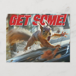 Lustigt Action Squirrel-vykort "Hämta lite" Vykort
