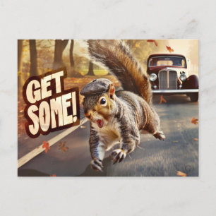 Lustigt Action Squirrel-vykort "Hämta lite" Vykort