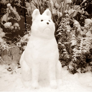 lustigt akita snögubbe-scenen vid snö-scenen, julm helgkort