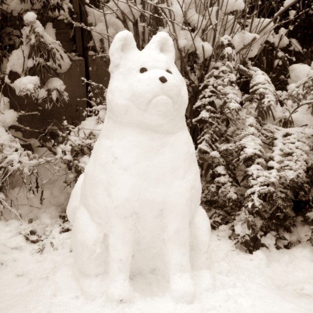 lustigt akita snögubbe-scenen vid snö-scenen, julm helgkort (Skapare uppladdad)