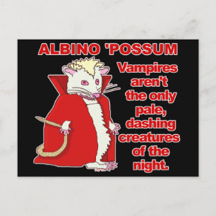 Lustigt Albino Possum Vampire Animal Vykort