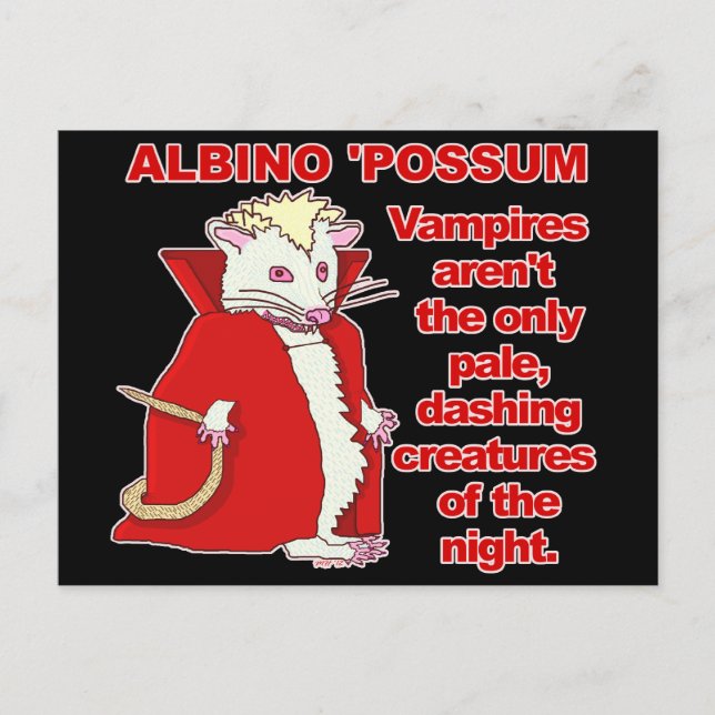 Lustigt Albino Possum Vampire Animal Vykort (Framsida)