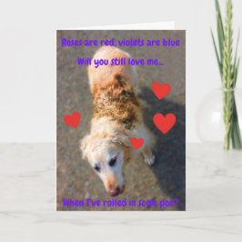Lustigt Alla hjärtans Hund.. Kort