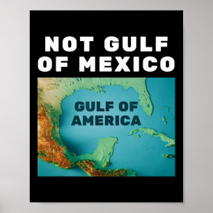 Lustigt Amerikas Bukt, inte Bukt i Mexiko 1 Poster