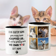 Lustigt, Anpassningsbar 4 Kattfoto och Namn