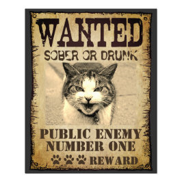 Lustigt anpassningsbar som poster