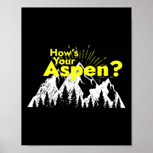 Lustigt Aspen Colorado Ski Skiing Hur är det med A Poster