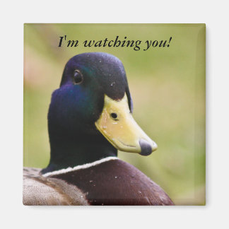 Lustigt att jag tittar på dig Anka Fridge Magnet