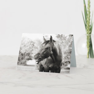 Lustigt att tänka på ditt Horse Card Kort