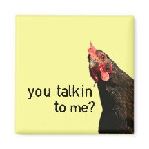 Lustigt Attitude Chicken - pratar du med mig?