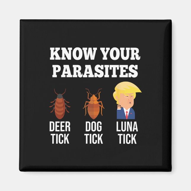 Lustigt bekväm antitrumplocket för din Parasites 2 Magnet (Framsidan)
