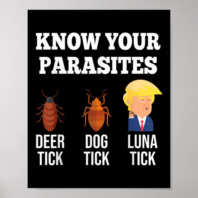 Lustigt bekväm antitrumplocket för din Parasites 2 Poster (Framsidan)