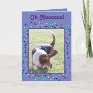 Lustigt bestrålat födelsedagskort med basset och c kort