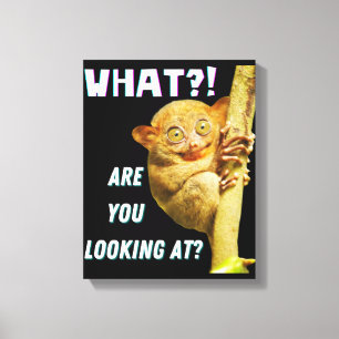 Lustigt Big Eyed Tarsier vad du Tittar på Canvastryck