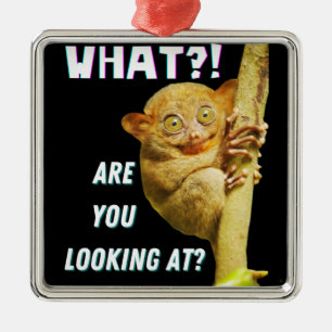 Lustigt Big Eyed Tarsier vad du Tittar på Julgransprydnad Metall